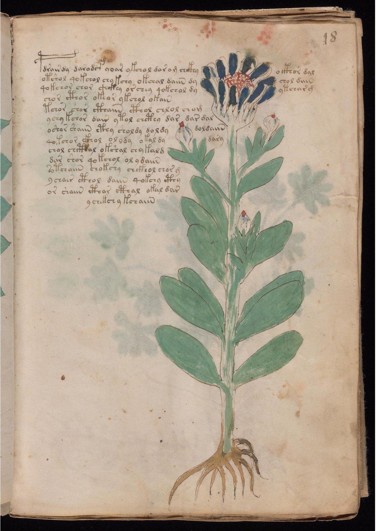 Original manuscript of Folio 18r